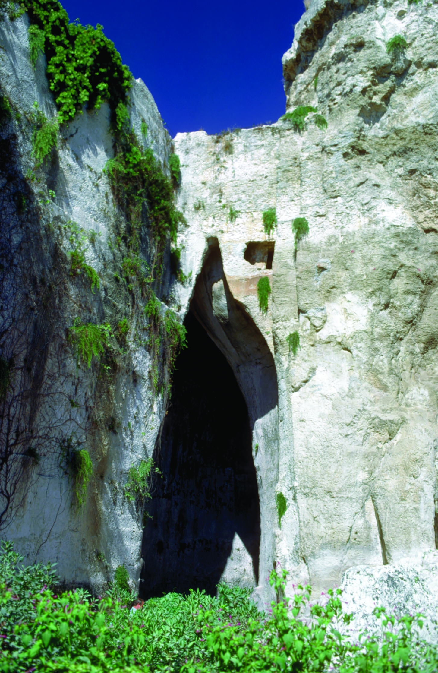 오레키오 디 디오니시오